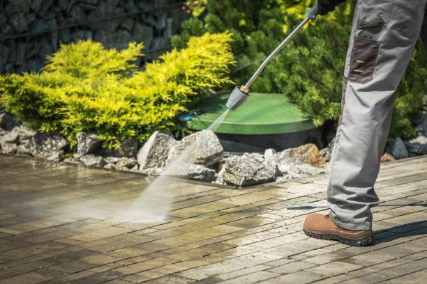 Best Animal Enclosure Cleaning  in Squirrel Mountain Valley, CA