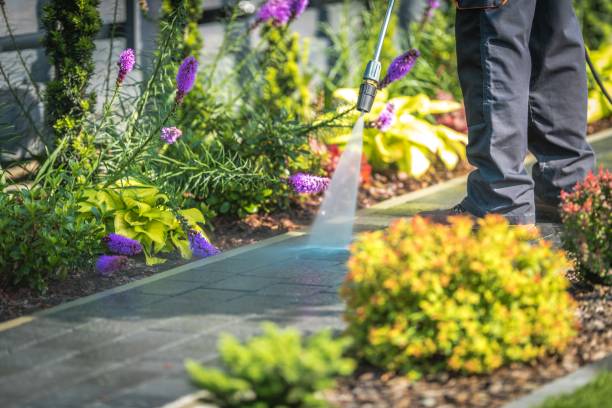 Best Spring Cleaning  in Squirrel Mountain Valley, CA