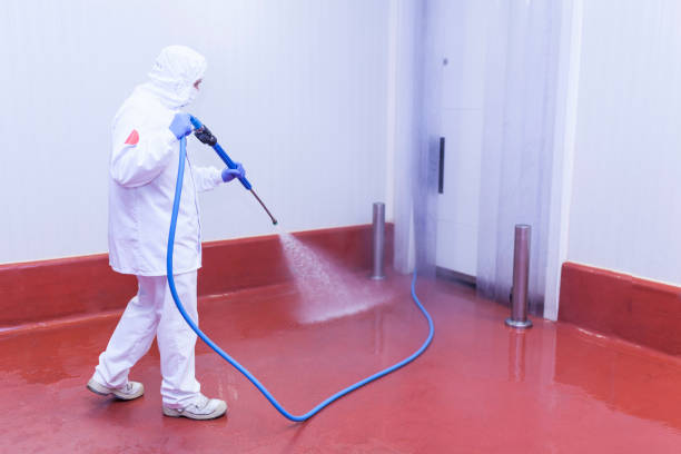 Best Playground Equipment Cleaning  in Squirrel Mountain Valley, CA